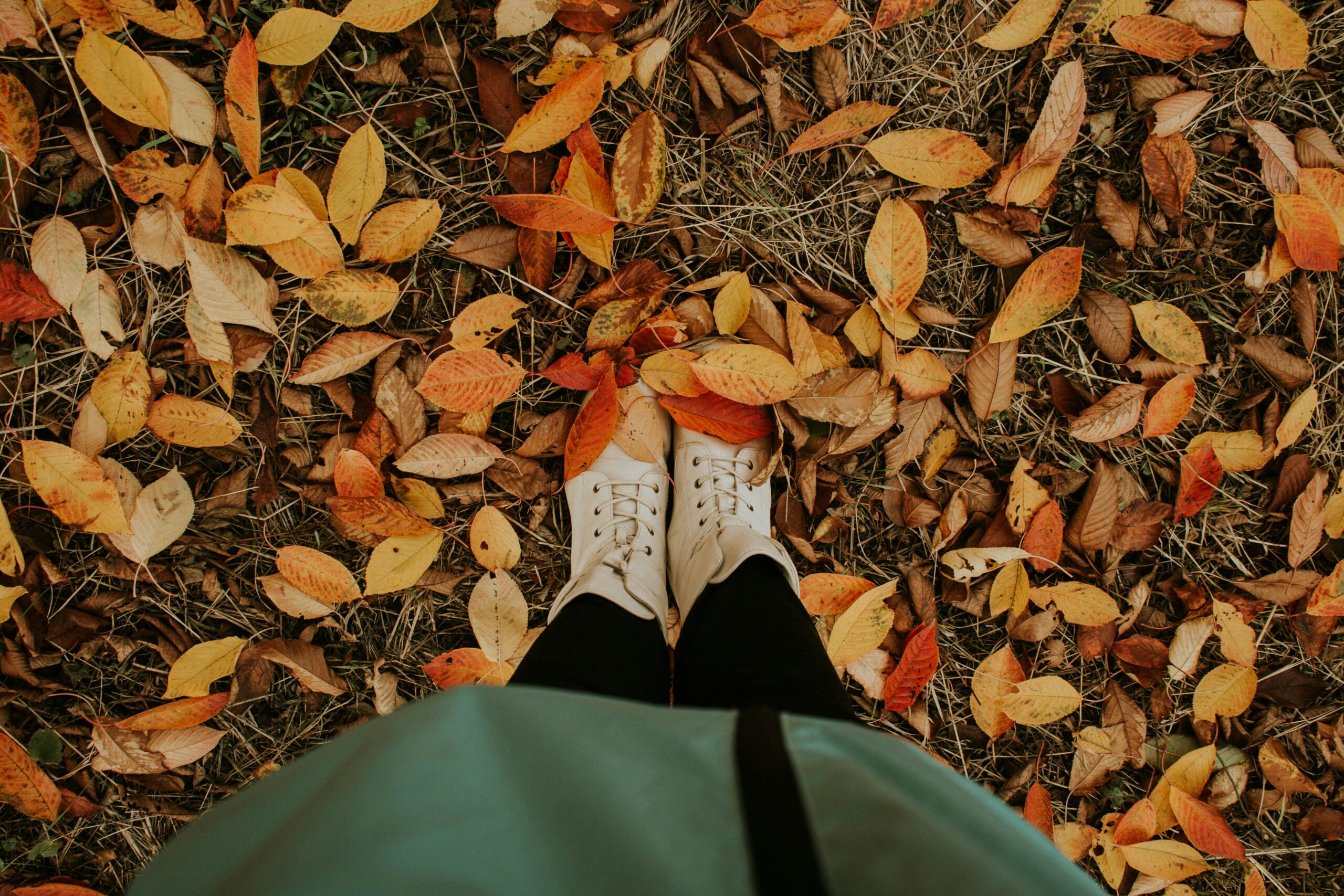 Resetting Your Body, Mind & Spirit: Fall Routines to Ground You